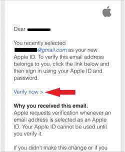 click-on-verify-now-in-app-store-screenshot