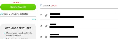 delete-all-tweets-screenshot